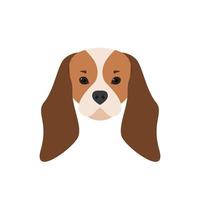 Porträt des Kavalierkönigs Charles Spaniel. Hundeillustration. vektor