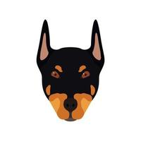 Dobermann Hundekopf. Porträt des Hundes. Vektorillustration. vektor