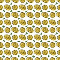 tropisk sömlös mönster med gul citroner och citron- skivor hand dra illustration vektor