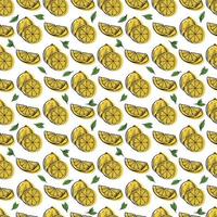 tropisk sömlös mönster med gul citroner och citron- skivor hand dra illustration vektor