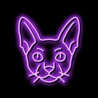 cornish rex katt söt sällskapsdjur neon glöd ikon illustration vektor