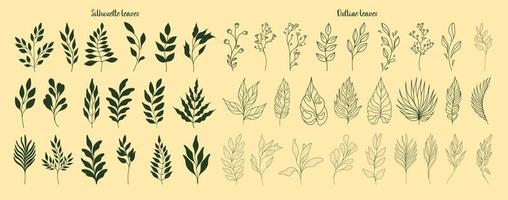 uppsättning av löv. tropisk växter. herbarium. perfekt för ört- Produkter mönster. vektor
