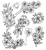 sakura-blumenblütenset, handgezeichnete linientintenart. niedliche Doodle-Kirschpflanze-Vektorillustration, schwarz isoliert auf weißem Hintergrund. realistische blumenblüte für japanische oder chinesische frühlingsferien vektor