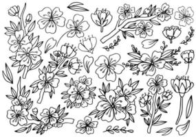 Hand gezeichnet isoliert Kirsche blühen Illustration. Gliederung Sakura Blumen Illustration Satz. Sakura blühen Linie Symbole. botanisch Blumenlandschaft Illustration Satz. vektor