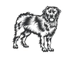 Berner Berg Hund Vektor Illustration, Hund Vektor schwarz auf Weiß Hintergrund