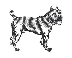 amerikanisch schikanieren Hund Vektor Illustration, schikanieren Hund Vektor schwarz auf Weiß Hintergrund