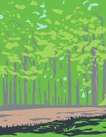 Wald im Shenandoah National Park Virginia wpa Poster Kunst vektor