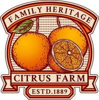 årgång bricka logotyp emblem av orange bruka med hand dragen stil, graverade, band, färgrik realistisk vektor