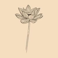 Lotus Blume Vektor Illustration mit Linie Kunst