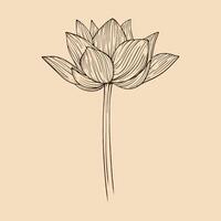 lotus blomma vektor illustration med linje konst