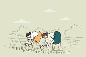 Frauen Stehen im Wasser auf Plantage Arbeiten auf Reis Feld. weiblich Angestellte Landwirtschaft auf organisch Ackerland. Landwirtschaft und Handbuch Arbeit. Vektor Illustration.