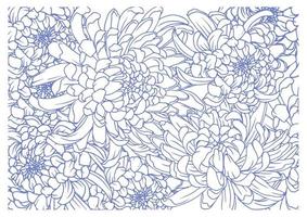 Hand gezeichnet Chrysantheme Blume Muster Hintergrund Vektor