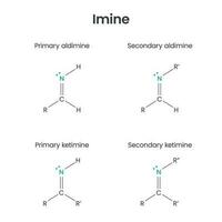 Imin Biochemie funktional Gruppe Wissenschaft Vektor Illustration