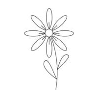 Hand gezeichnet Frühling Blume mit Blätter. vektor
