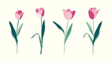 Satz gezeichnete Illustration der Tulpenblumenhand auf weißem Hintergrund