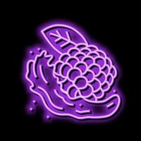 Spritzen Saft Brombeere Neon- glühen Symbol Illustration vektor