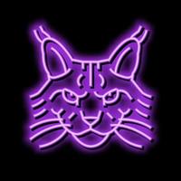 maine Coon katt söt sällskapsdjur neon glöd ikon illustration vektor