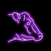 ko djur- Zoo neon glöd ikon illustration vektor