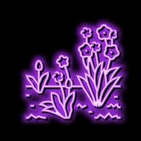 Wachstum Frühling Neon- glühen Symbol Illustration vektor