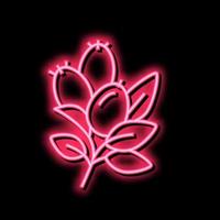 Hagebutte Aromatherapie Neon- glühen Symbol Illustration vektor