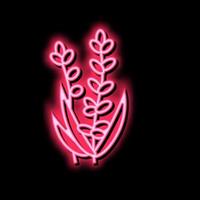 lavendel- blomma aromaterapi neon glöd ikon illustration vektor