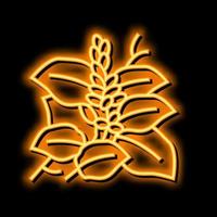 Kudzu Pflanze Neon- glühen Symbol Illustration vektor