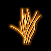 Vallisneria spiralis Neon- glühen Symbol Illustration vektor