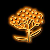 Schafgarbe Pflanze Neon- glühen Symbol Illustration vektor