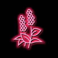 Patschuli Blumen Aromatherapie Neon- glühen Symbol Illustration vektor