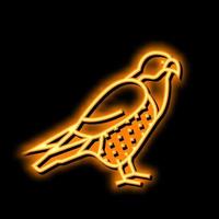 falk fågel neon glöd ikon illustration vektor