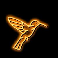 Kolibri Vogel Neon- glühen Symbol Illustration vektor