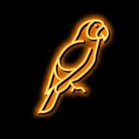 Papagei tropisch Vogel Neon- glühen Symbol Illustration vektor