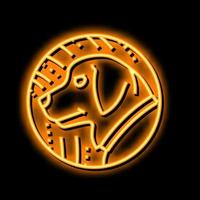 hund kinesisk horoskop djur- neon glöd ikon illustration vektor