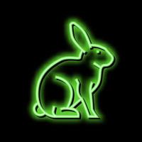 Hase Haustier Neon- glühen Symbol Illustration vektor