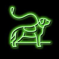 Gießen aus Hund Neon- glühen Symbol Illustration vektor