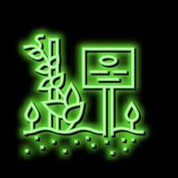 Pflanze mit Typenschild Neon- glühen Symbol Illustration vektor