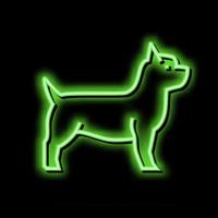 Yorkshire Terrier Hund Neon- glühen Symbol Illustration vektor