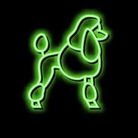 Pudel Hund Neon- glühen Symbol Illustration vektor