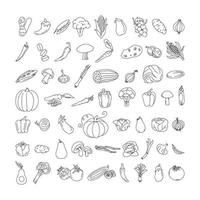 vegetabiliska element doodle linje uppsättning. frihandsteckning av frukt och grönsaker på ett ark träningsbok. vektor illustration. uppsättning