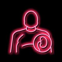 Fett Mensch Nieren Neon- glühen Symbol Illustration vektor