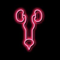 Urin- System Neon- glühen Symbol Illustration vektor