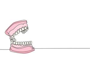 en kontinuerlig ritning av anatomiska kompletta vuxna tänder. modernt medicinskt internt anatomi koncept enkel linje rita design grafisk vektor illustration