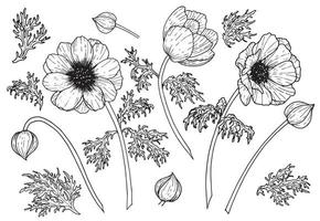 Vektor einstellen von Anemone Blumen. Hand gezeichnet Blumen- Illustration von Pflanzen mit Blätter und Knospen auf isoliert Hintergrund im Gliederung Stil. schwarz botanisch Zeichnung. linear skizzieren zum Hochzeit Einladungen.