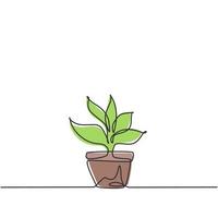 für Zierpflanzen werden durchgehend einzeilige Topfpflanzen mit fünf wachsenden Blättern verwendet. Zierpflanzen zur Verschönerung des Wohnzimmers. einzelne Linie zeichnen Design-Vektor-Grafik-Darstellung. vektor