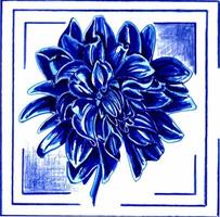 Blau Dahlie im ein rahmen. Blumen- botanisch Vektor eps Illustration auf ein Weiß Hintergrund.