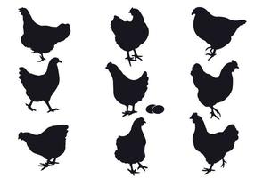 einstellen von Hühner Silhouetten, Vektor Züchter Hühner