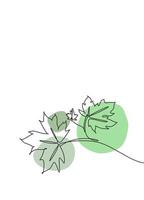 eine einzige Strichzeichnung Ahornblatt-Vektor-Illustration. tropische Blätter minimalistischer Stil, abstraktes Blumenmusterkonzept für Poster, Wanddekordruck. modernes Grafikdesign mit durchgehender Linie vektor