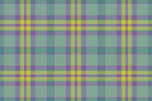 Vektor Muster Plaid. Tartan Hintergrund nahtlos. Textur Textil- prüfen Stoff.