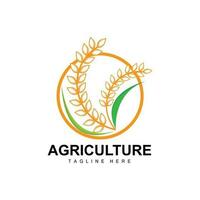 Reis Logo, Landwirtschaft Design, Vektor Weizen Reis Symbol Vorlage Illustration