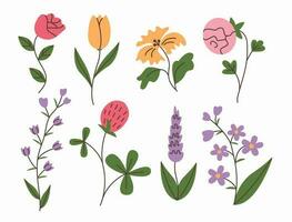 vår och sommar blommor uppsättning. enkel klotter blomma växter isolerat på vit bakgrund. färgrik platt vektor illustration.